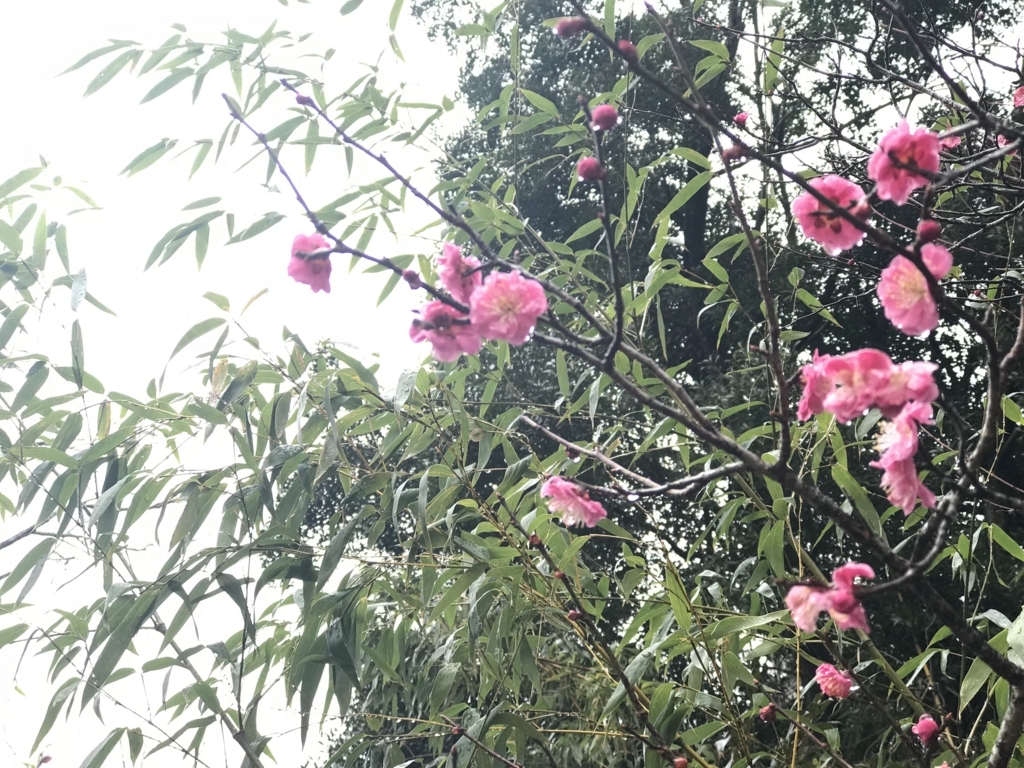 f:id:t-proof-35mm:20180322061146j:plain f:id:t-proof-35mm:20180322061146j:plain