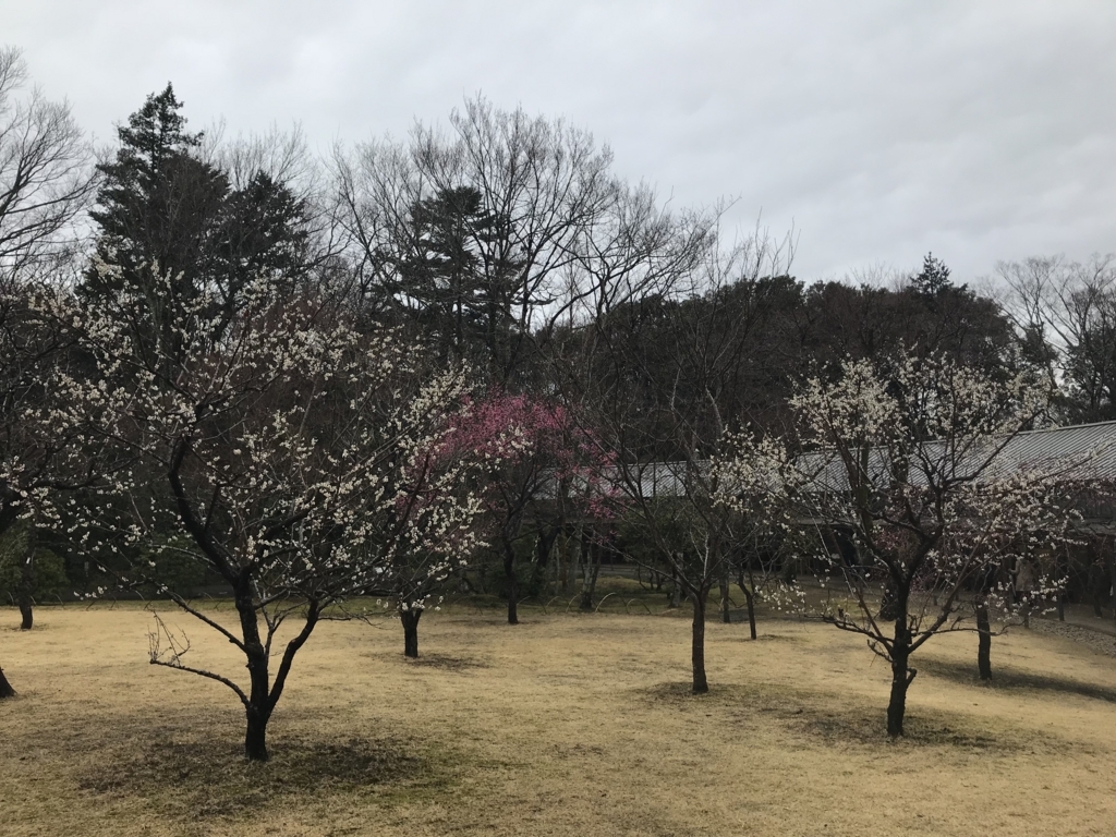 f:id:t-proof-35mm:20180322061222j:plain f:id:t-proof-35mm:20180322061222j:plain