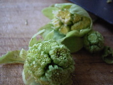 f:id:t-sakai:20090318060012j:image