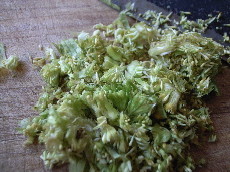 f:id:t-sakai:20090318060026j:image