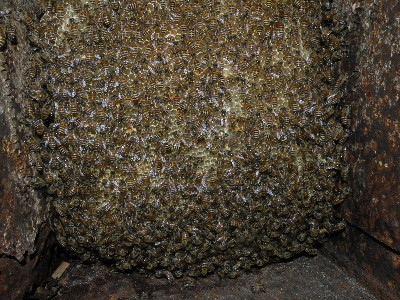 f:id:t-sakai:20100613135508j:image