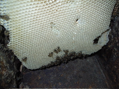 f:id:t-sakai:20100613135510j:image