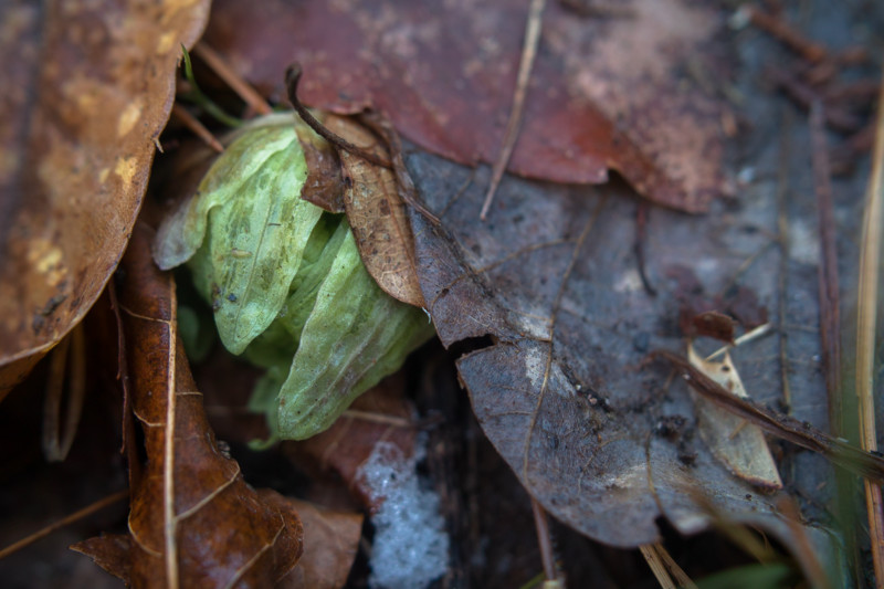 f:id:t-sakai:20160304202421j:image