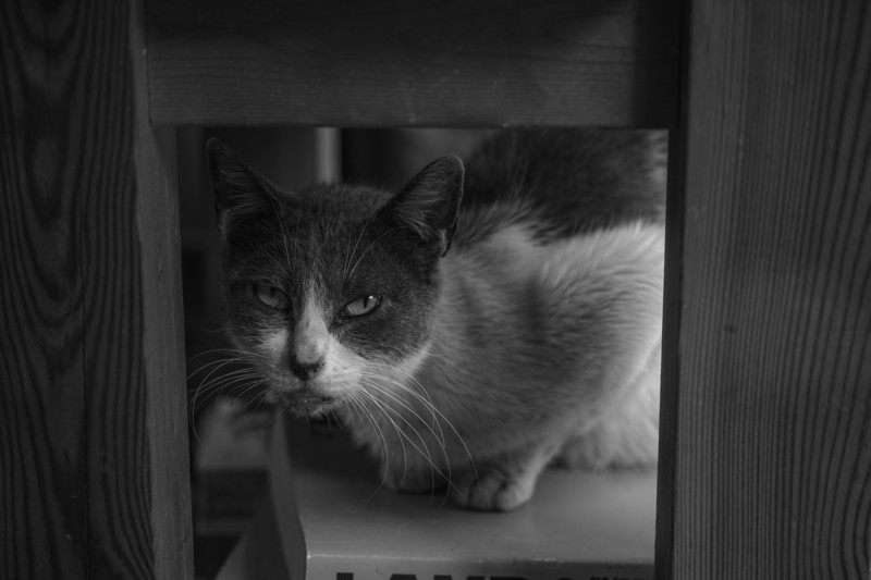 f:id:t-sakai:20170910204051j:image f:id:t-sakai:20170910204051j:image