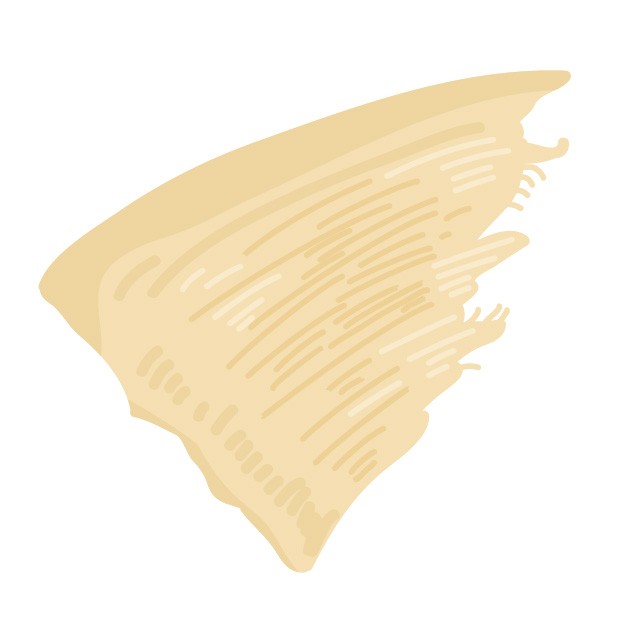 f:id:t-sato-1211-a:20191031215027j:plain