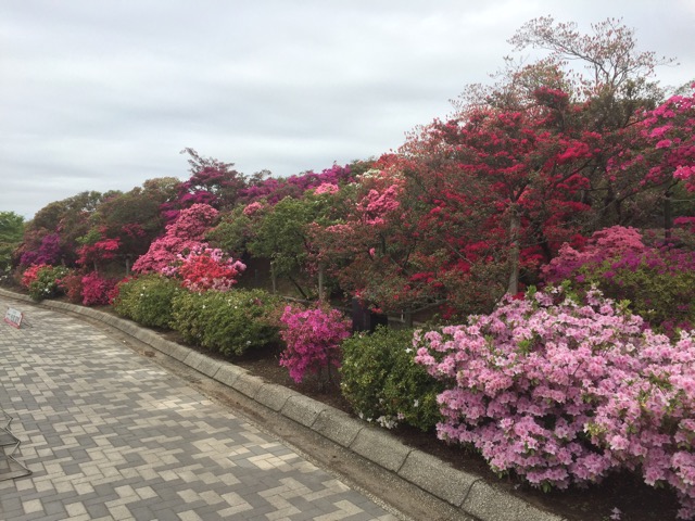 f:id:t-shock:20180414094223j:plain f:id:t-shock:20180414094223j:plain