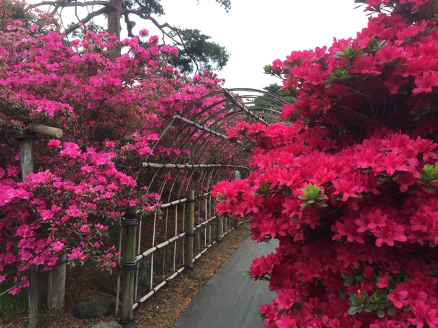 f:id:t-shock:20180414094704j:plain f:id:t-shock:20180414094704j:plain