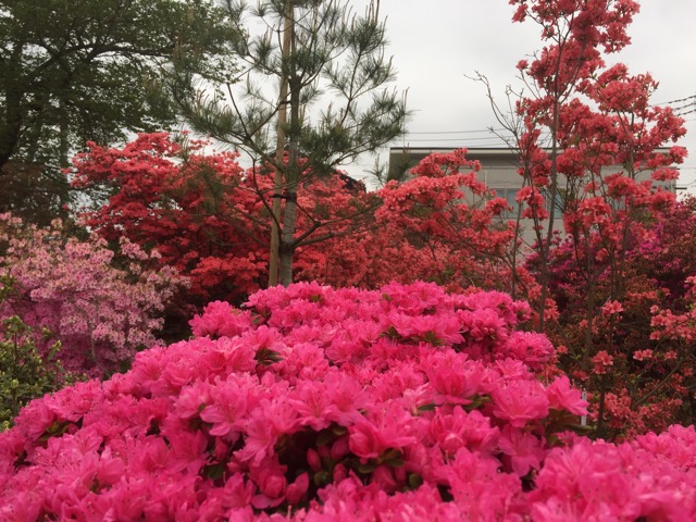 f:id:t-shock:20180414094850j:plain f:id:t-shock:20180414094850j:plain