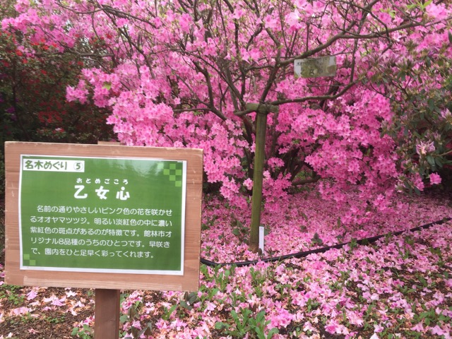 f:id:t-shock:20180414095635j:plain f:id:t-shock:20180414095635j:plain