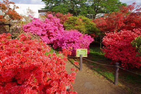 f:id:t-shock:20180416030048j:plain f:id:t-shock:20180416030048j:plain