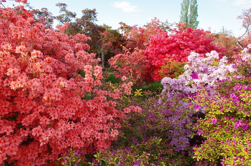 f:id:t-shock:20180416030349j:plain