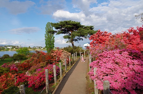 f:id:t-shock:20180416044051j:plain f:id:t-shock:20180416044051j:plain