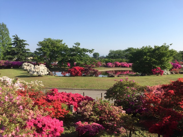 f:id:t-shock:20180428174912j:plain