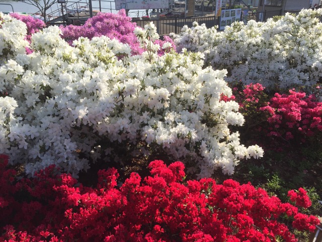 f:id:t-shock:20180428181638j:plain