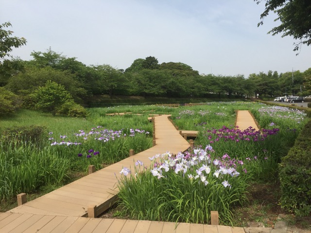 f:id:t-shock:20180526223752j:plain