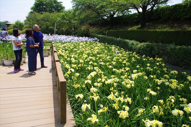 f:id:t-shock:20180602175232j:plain f:id:t-shock:20180602175232j:plain