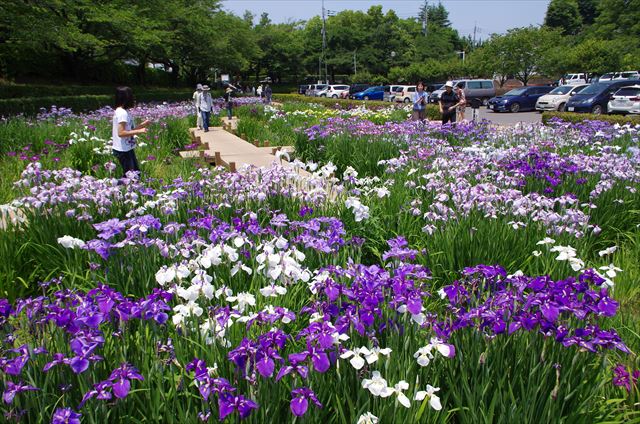 f:id:t-shock:20180602175405j:plain f:id:t-shock:20180602175405j:plain