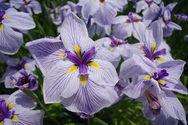 f:id:t-shock:20180602175622j:plain f:id:t-shock:20180602175622j:plain