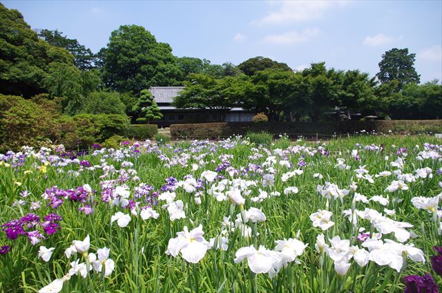 f:id:t-shock:20180602180255j:plain f:id:t-shock:20180602180255j:plain