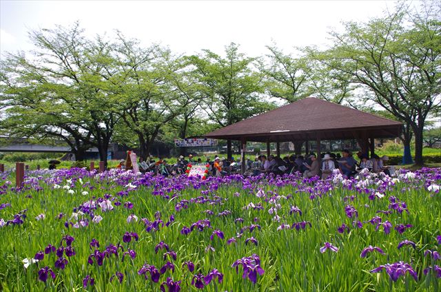 f:id:t-shock:20180602180757j:plain f:id:t-shock:20180602180757j:plain