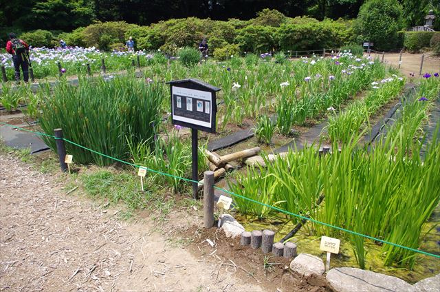 f:id:t-shock:20180602181342j:plain f:id:t-shock:20180602181342j:plain