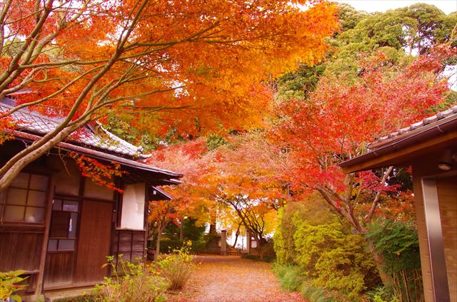 f:id:t-shock:20181209205751j:plain