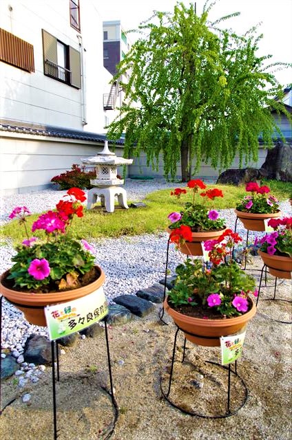 f:id:t-shock:20190422053540j:plain