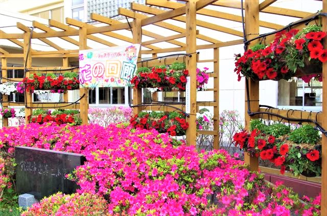 f:id:t-shock:20190422054028j:plain