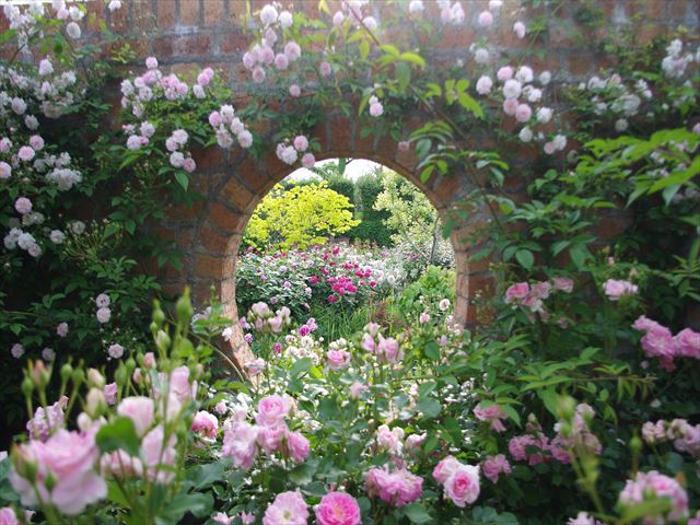 f:id:t-shock:20190425060718j:plain