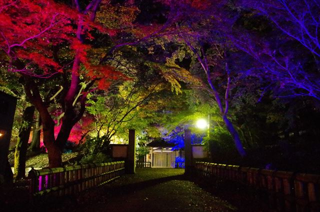 f:id:t-shock:20191130071740j:plain