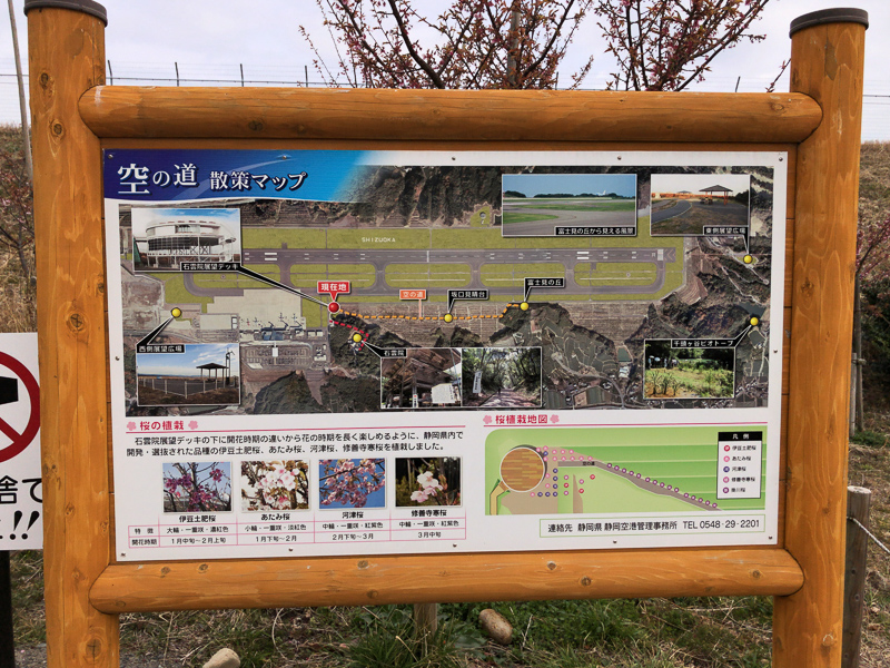 f:id:t-star0115:20190301215356j:plain f:id:t-star0115:20190301215356j:plain