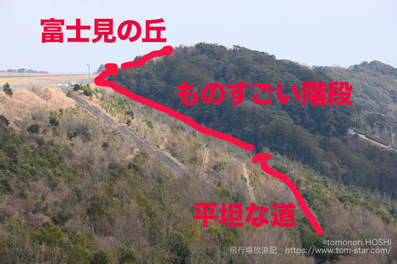 f:id:t-star0115:20190301234114j:plain f:id:t-star0115:20190301234114j:plain