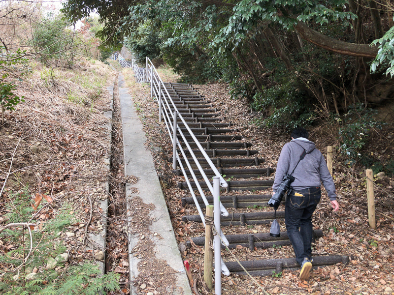 f:id:t-star0115:20190301234259j:plain f:id:t-star0115:20190301234259j:plain