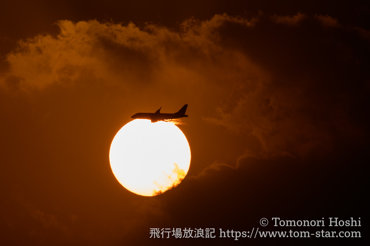 f:id:t-star0115:20200222202917j:plain f:id:t-star0115:20200222202917j:plain