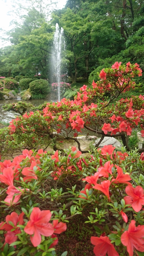 f:id:t-sutani:20180605190432j:plain