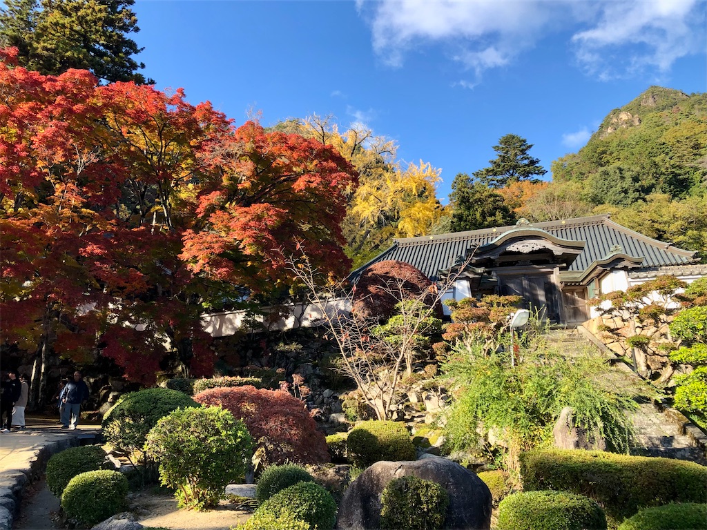 f:id:t-takamatsu:20241129170448j:image