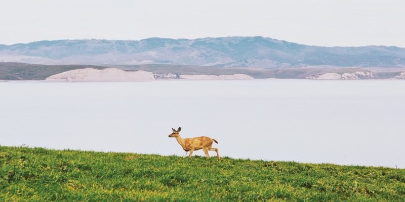 f:id:t-tane:20150915175155j:plain