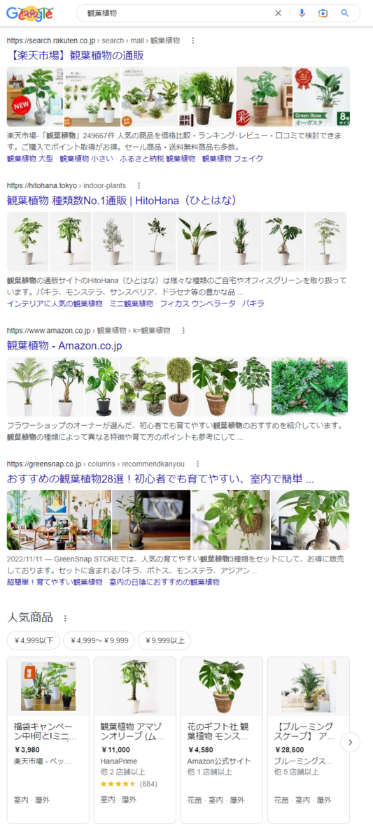 「観葉植物」Google検索結果