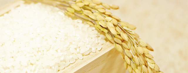 f:id:t-yamamoto790108:20171006011006j:plain f:id:t-yamamoto790108:20171006011006j:plain