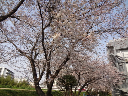 f:id:t-yana:20120408194059j:image f:id:t-yana:20120408194059j:image
