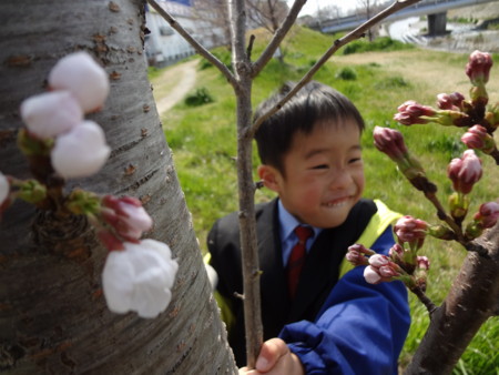f:id:t-yana:20120408194100j:image f:id:t-yana:20120408194100j:image