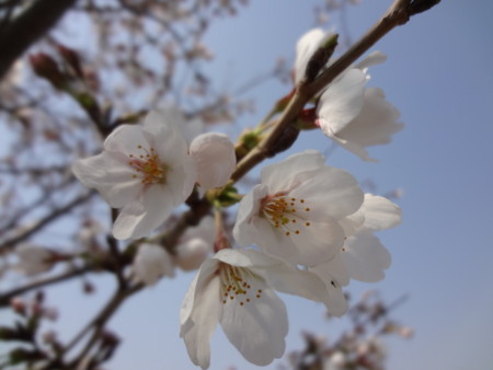 f:id:t-yana:20120408194105j:image f:id:t-yana:20120408194105j:image