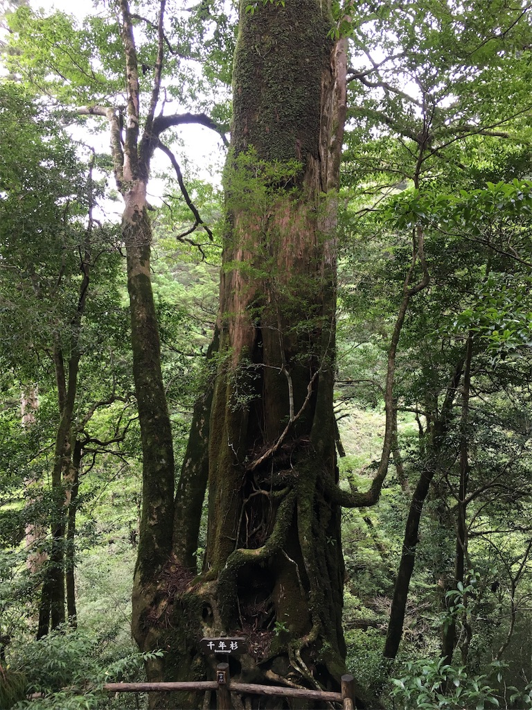 f:id:t-yoga:20180930231841j:image f:id:t-yoga:20180930231841j:image