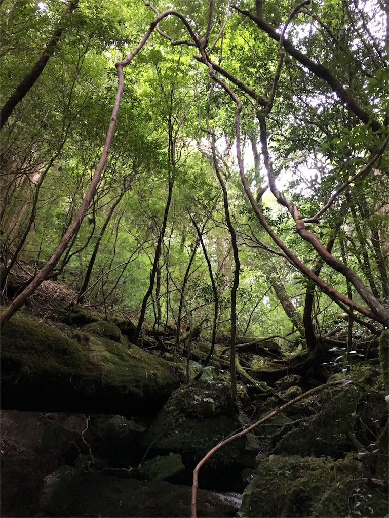 f:id:t-yoga:20180930232141j:image f:id:t-yoga:20180930232141j:image