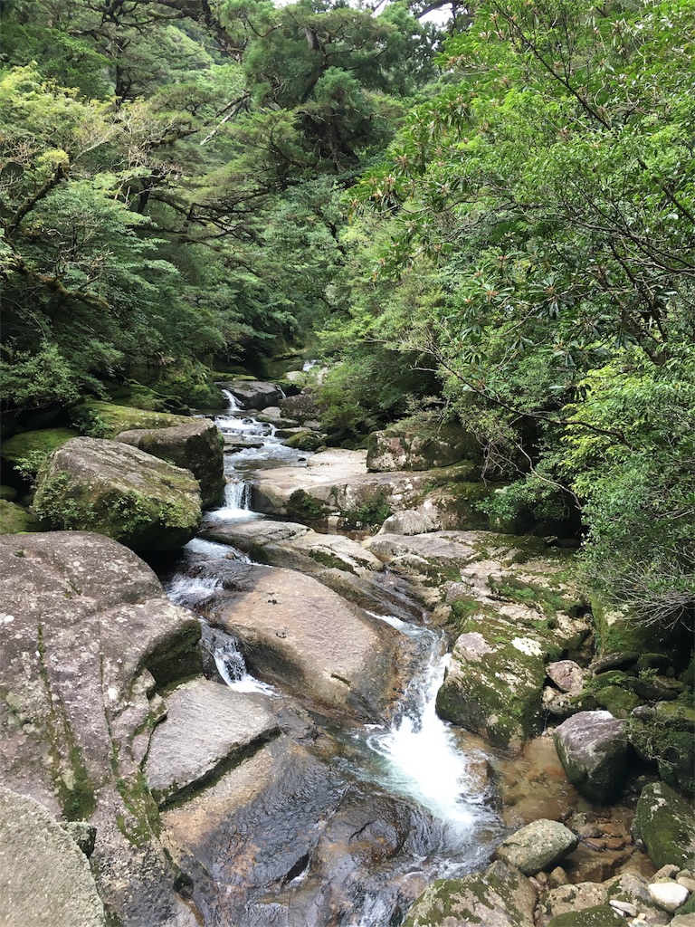 f:id:t-yoga:20180930232346j:image f:id:t-yoga:20180930232346j:image