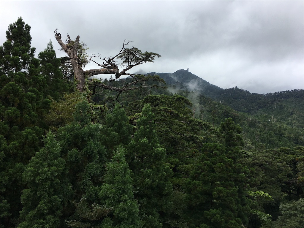 f:id:t-yoga:20180930233829j:image f:id:t-yoga:20180930233829j:image