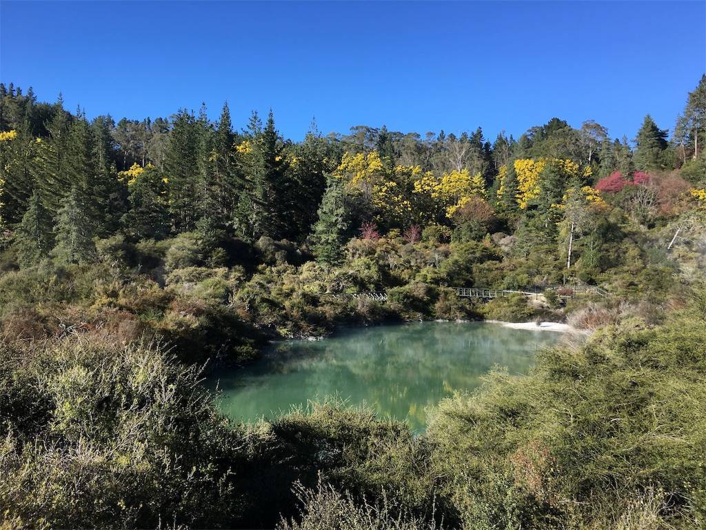 f:id:t-yoga:20190901194627j:image f:id:t-yoga:20190901194627j:image