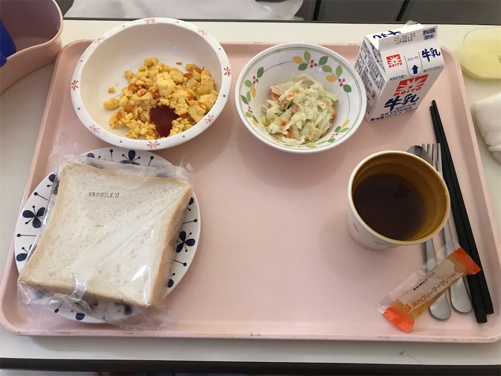 f:id:t00-ushi:20210616230638j:image