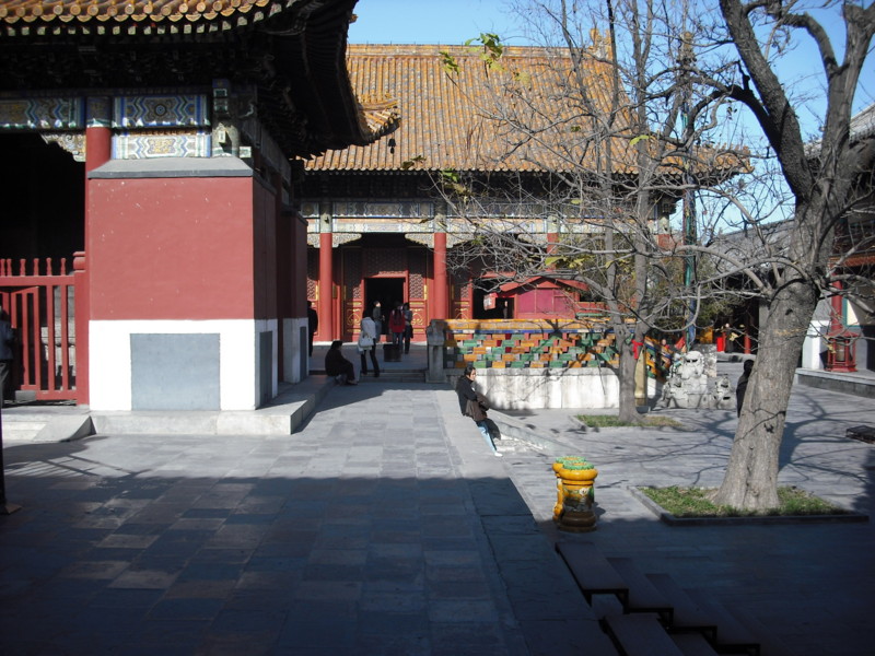 f:id:t02240dk:20081103135702j:image:w200:right