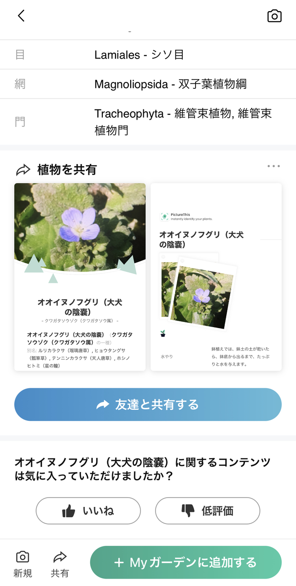 植物を調べるなら、このアプリ「PictureThis」 - トザワブログ